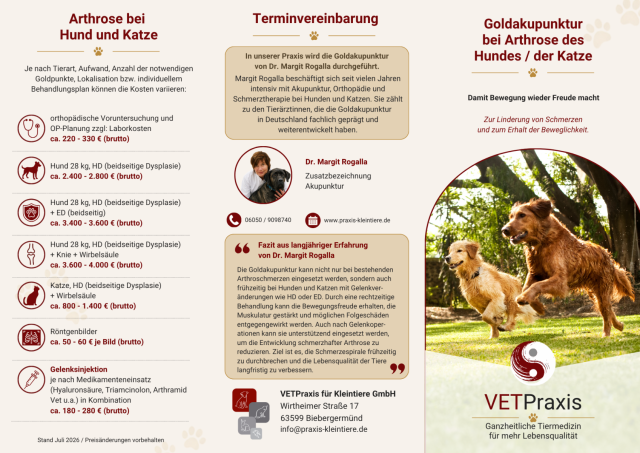Flyer Goldakupunktur Katze und Hund Biebergemünd - Seite 1