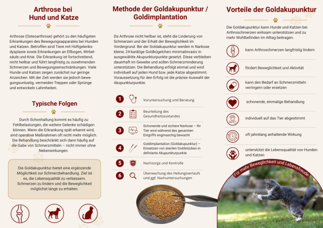 Flyer Goldakupunktur Katze und Hund Biebergemünd - 2