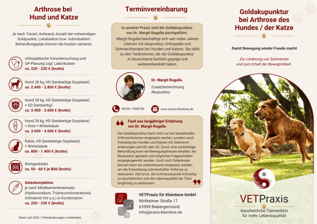 Flyer Goldakupunktur Katze und Hund Biebergemünd - Seite 1