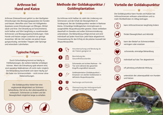Flyer Goldakupunktur Katze und Hund Biebergemünd - 2