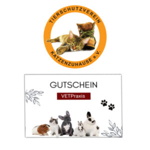 Gutschein für den Tierschutzverein Katzenzuhause