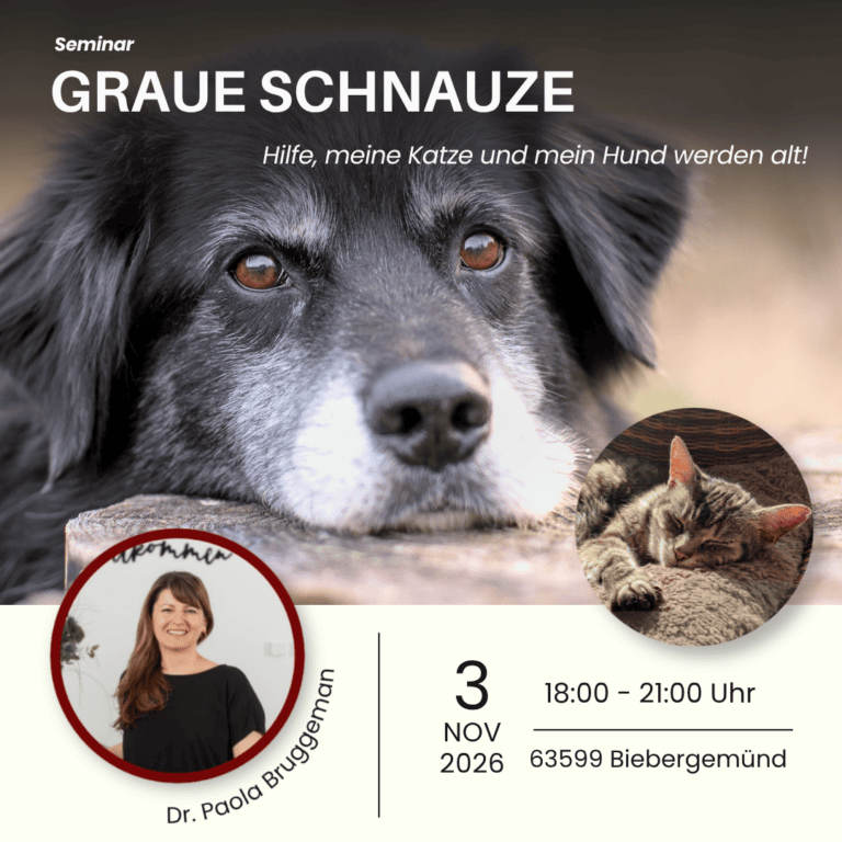 Seminar Graue Schnauzen – Hilfe meine Katze und mein Hund werden alt