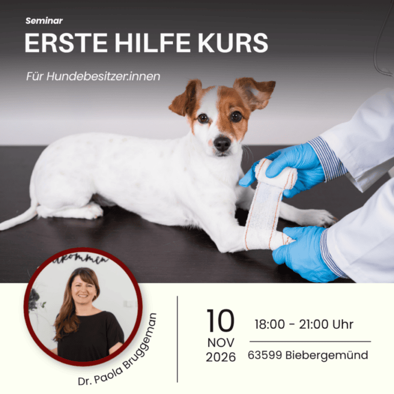 Erste Hilfe Kurs
